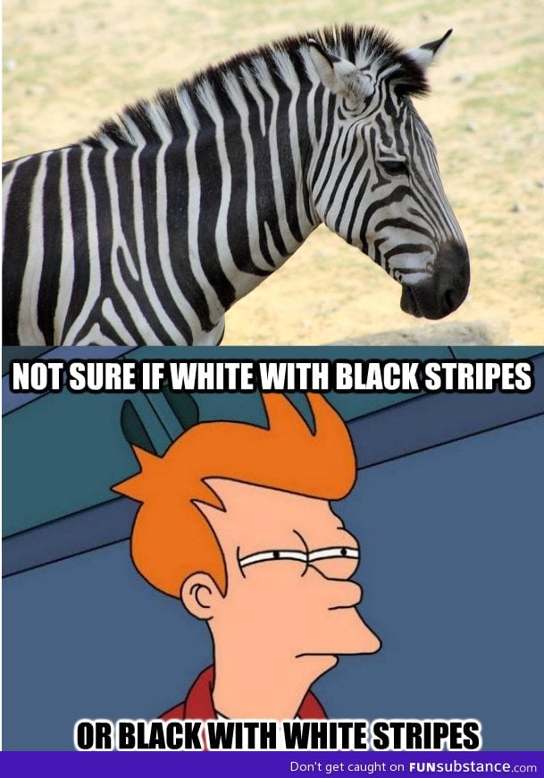 Zebras are confusing