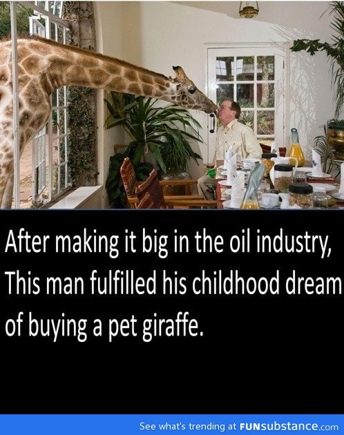 Pet giraffe