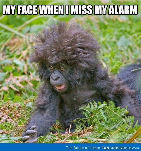 Missed my alarm
