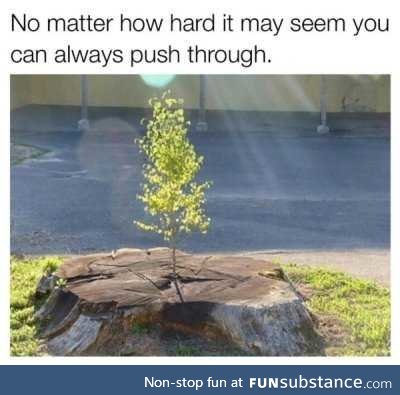 You can always push through. Deep Roots Are Not Reached By the Frost