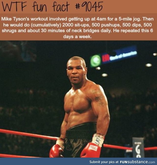 Tyson was an animal