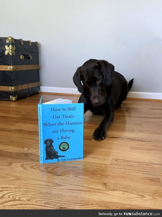 Dogs actually can't read
