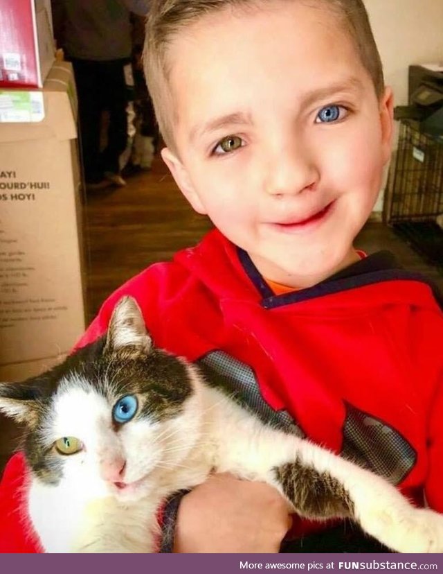 Bullied 7-year-old finds a cat with the same rare eye condition and cleft lip