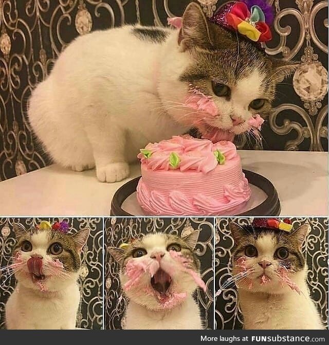 Birthday's are for celebrating