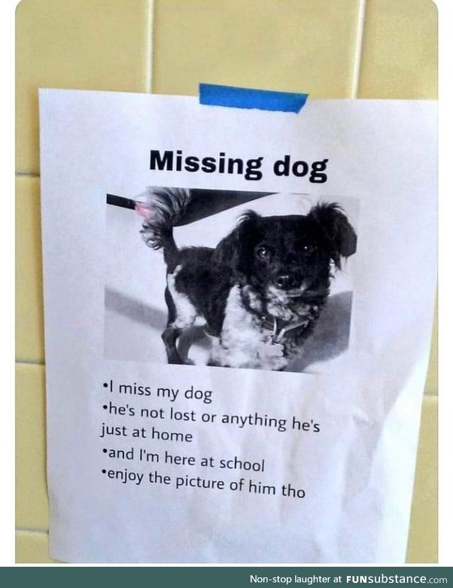 Missing dog