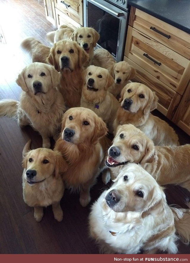 Precious nuggets