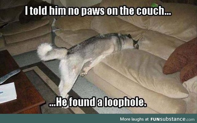 This is something my dog would do lol