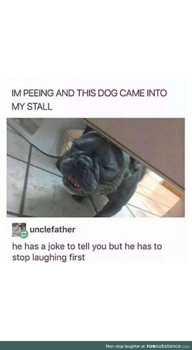Let the dog laugh oute first
