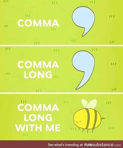 Comma chameleon