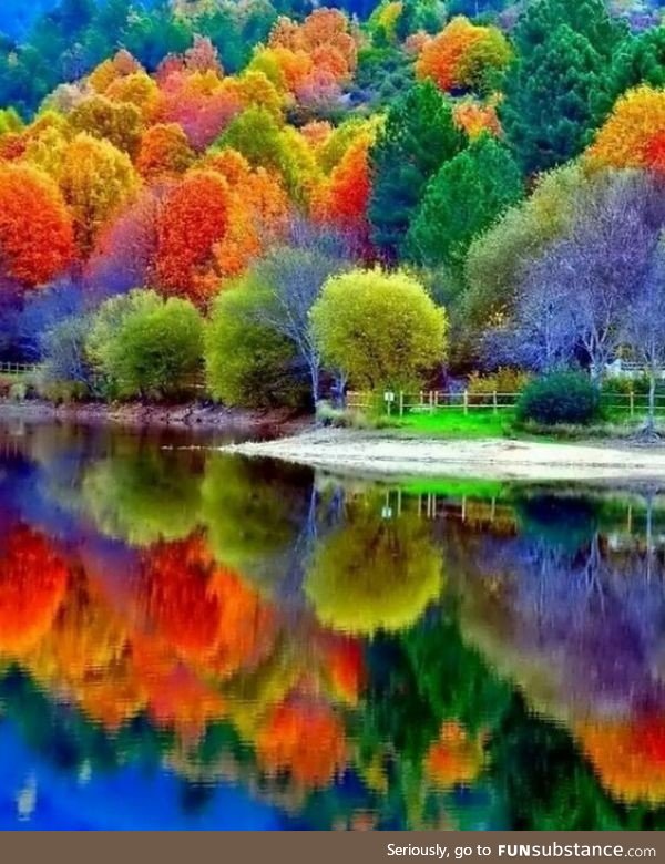 Autumn colors reflected in water