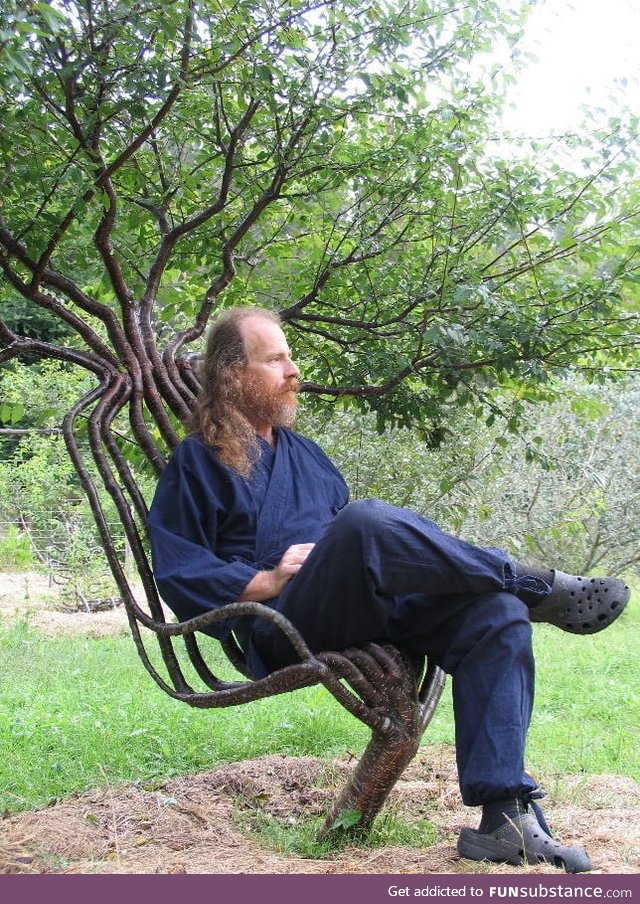This guy made a tree grow into a chair