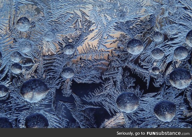 A bit of frost from my window