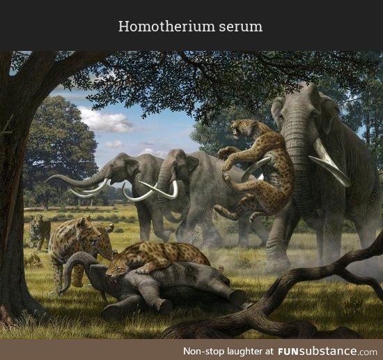 Daily Dose of Prehistory: Back From Extinction 22