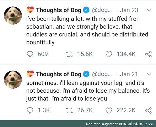 Here's some doggo wholesomeness