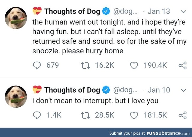 Doggo thoughts