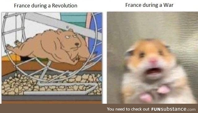 France doing France-things