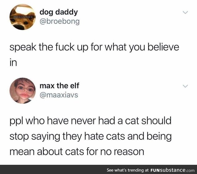 Cats are sweet just like dogs if you treat them good