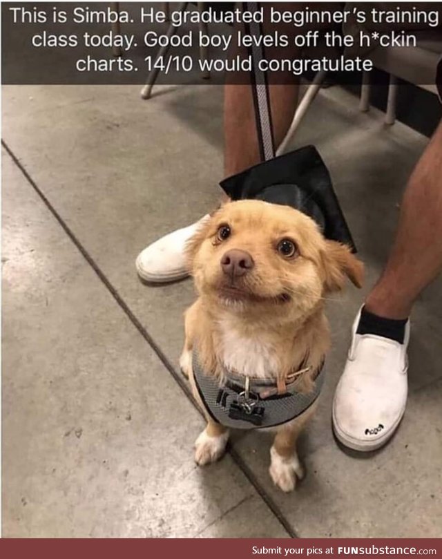 He looks so proud