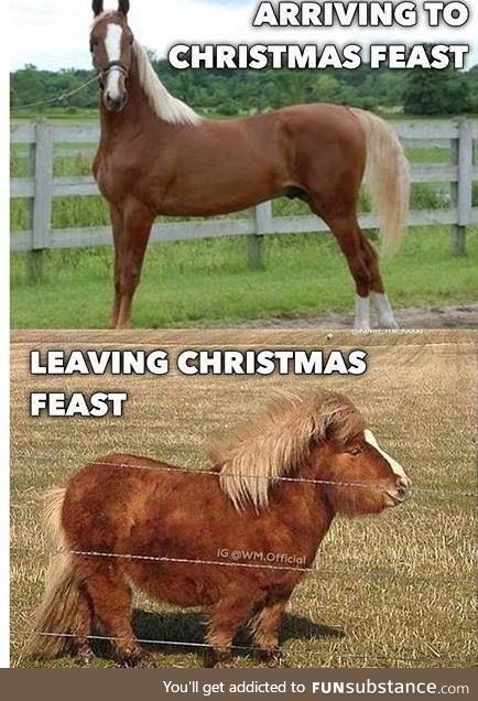 Christmas feast