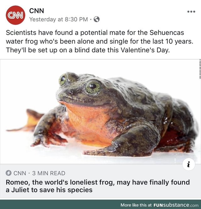 Every frog has his day