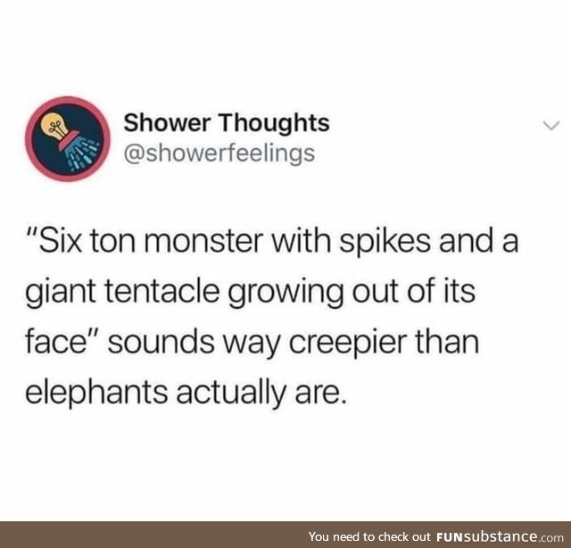 Some elephants actually Weigh 12-13 tons
