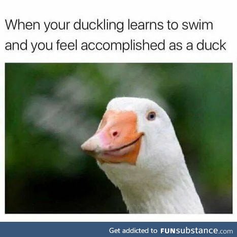 *approves in duck*