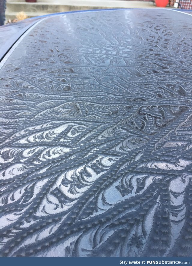 The way the ice froze on my car this morning