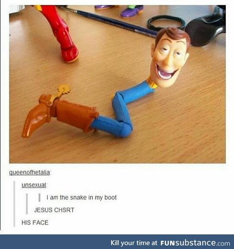 I am the snake in my boot