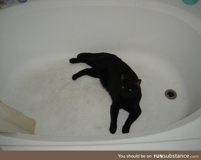 Jellybean, laying in a large tub. He passed last St. Patrick's day