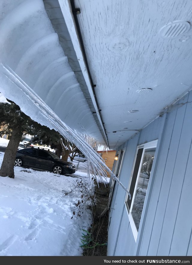 My house is trying to bite itself