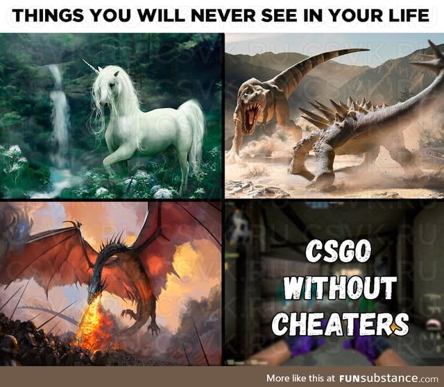 Things you will never see