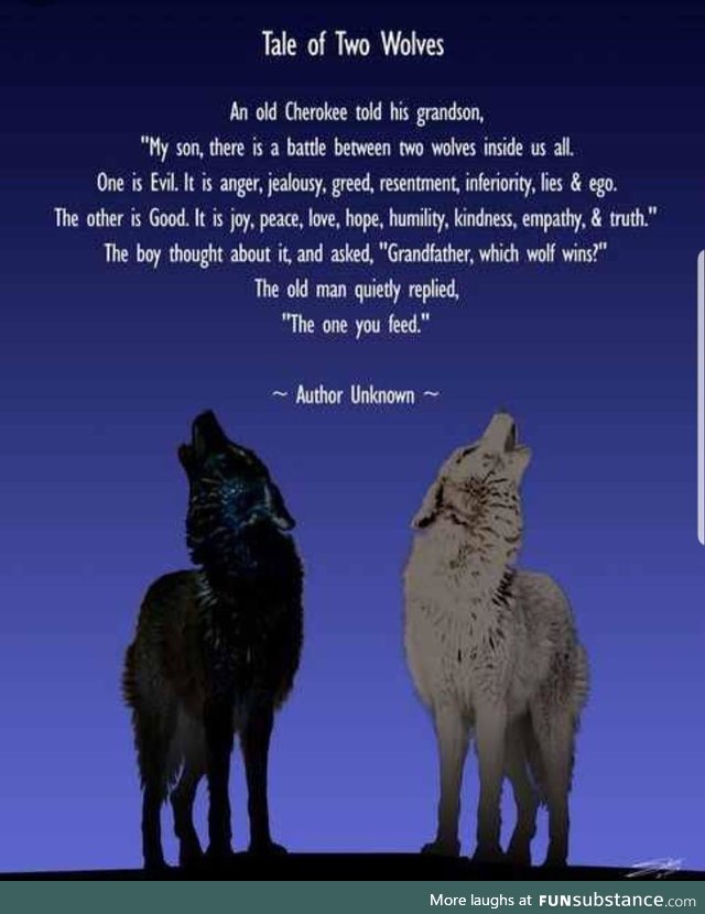 Tale of Two Wolves: The One You Feed