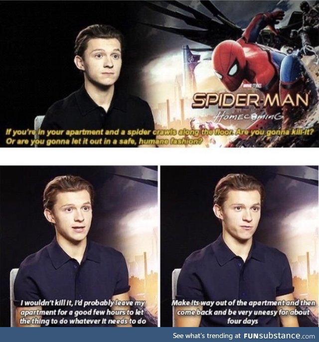 Tom Holland is all of us