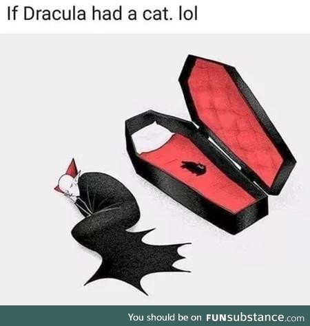 If dracula had a cat lol