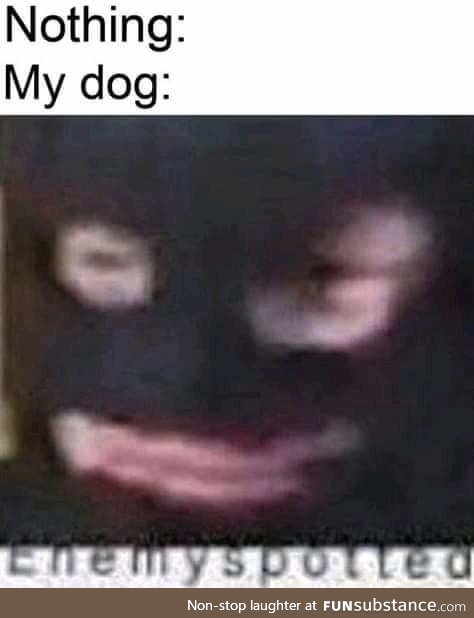 *BORK Intensifies*