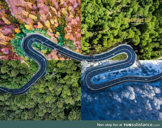 The Four Seasons of Transylvania