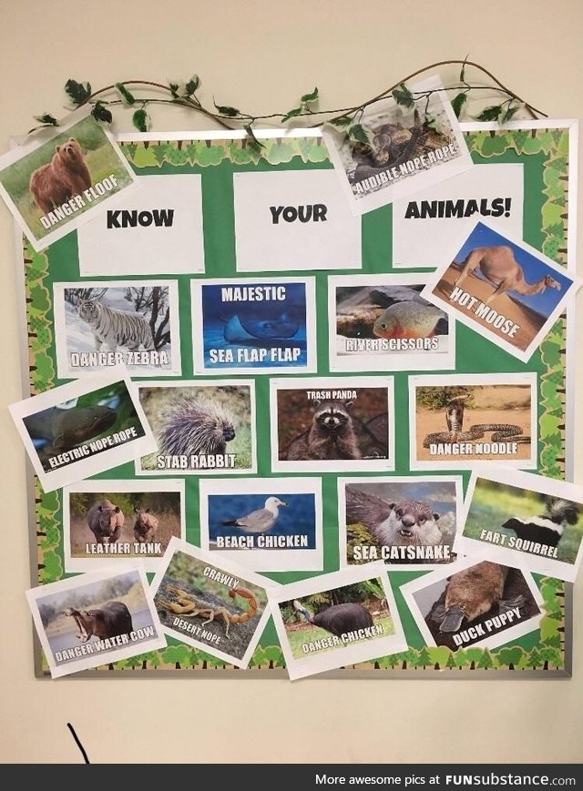 Know your animals