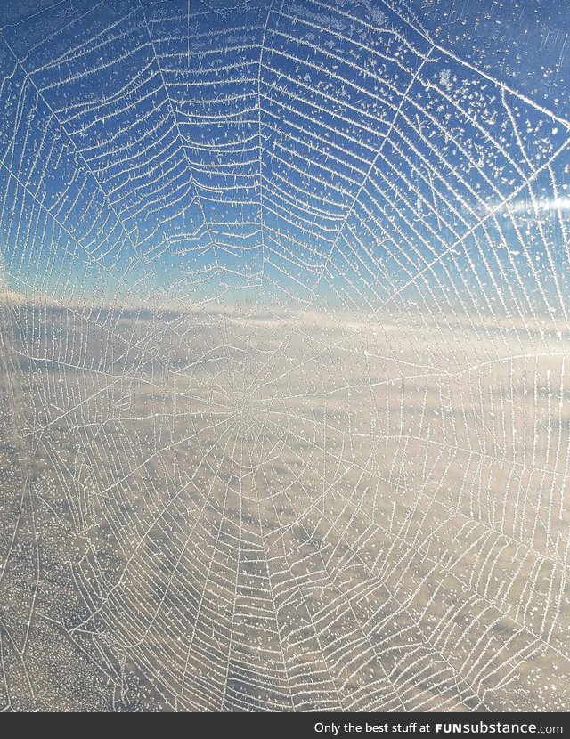 There was a spiderweb on my plane's window today and when we got in the air it froze