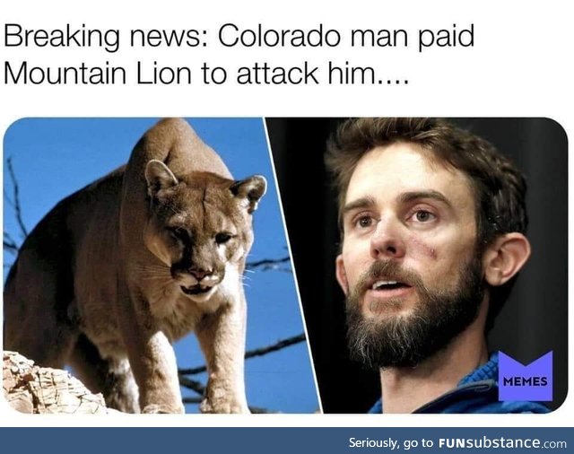 Breaking news colorado man paid mountain lion to attack him