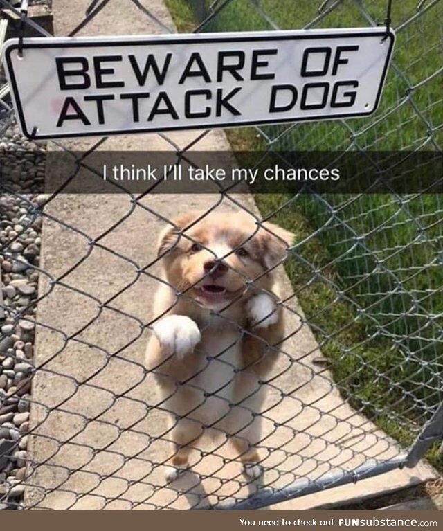 *jumps over fence*