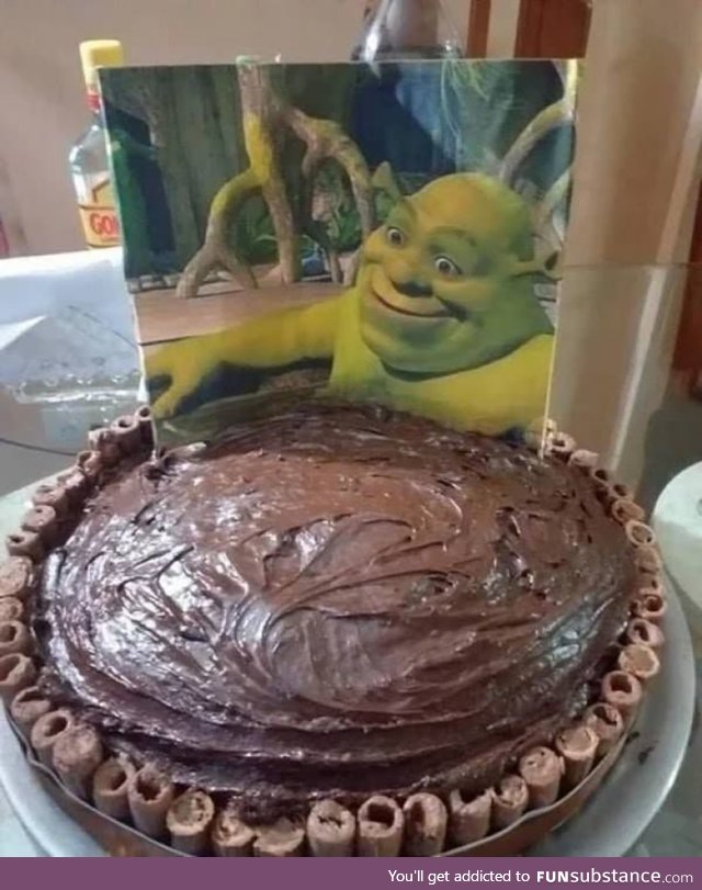 This is my swamp