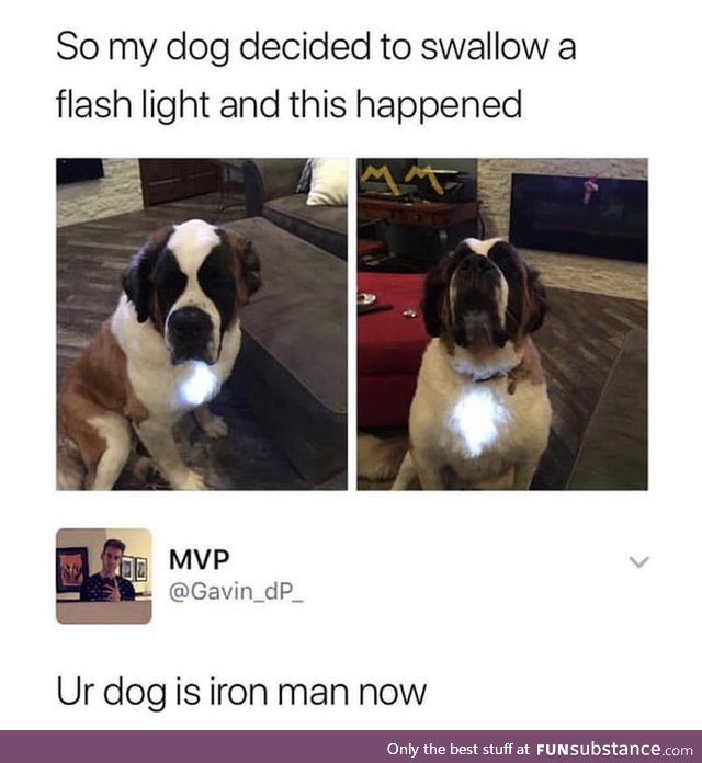 Iron Man's dog