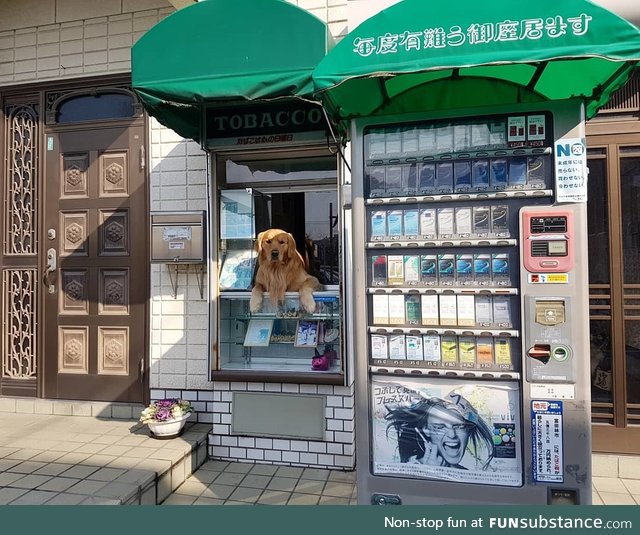 I found this dog selling cigarettes in Japan today