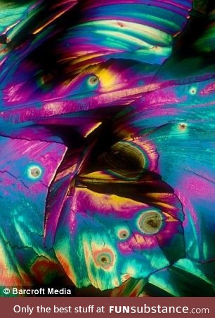 Pina Colada under microscope