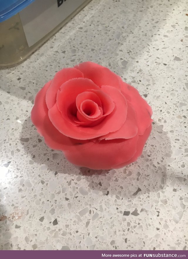 My first attempt at making a rose by hand out of icing for my daughters birthday cake