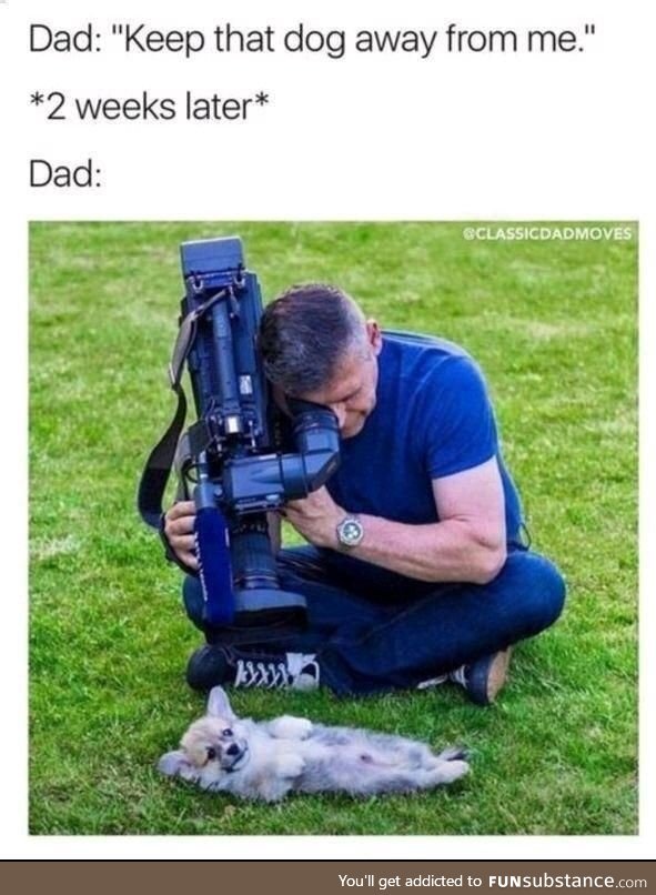 Dad's hate pets