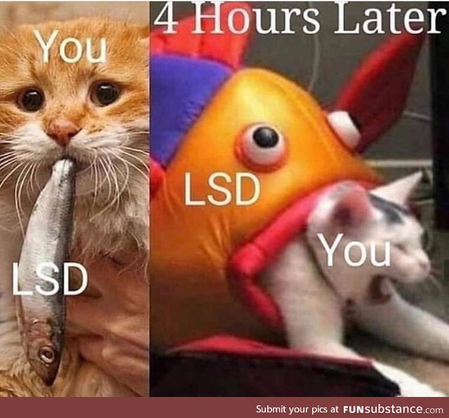 5 min into LSD and chill and it gives you this look