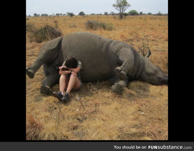 Wildlife preserver cries over poached rhino