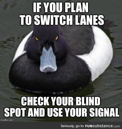 I’m seriously going to start honking at morons who do this. You learn this in driving