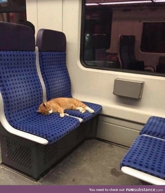 Look at this asshole using up two seats like he owns the train or something